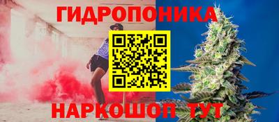 стаф Малоярославец