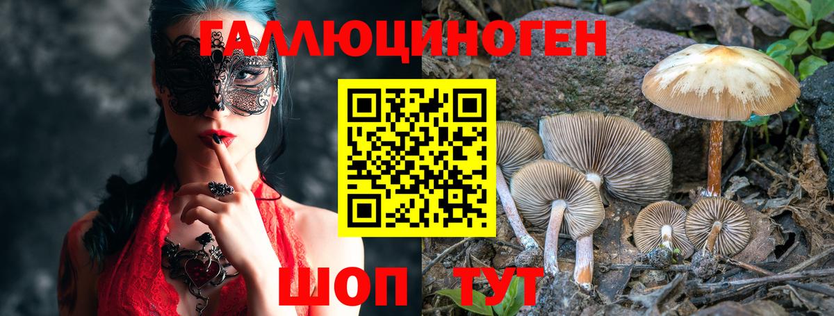Псилоцибиновые грибы Magic Shrooms Сыктывкар